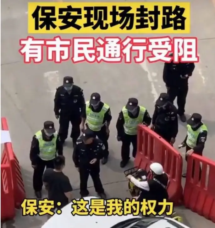 辛巴 网红体质 直播基地封路_网红大八卦辛巴直播在哪里看到-